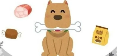 狗狗低蛋白食物全指南：腎臟保健飲食選擇與實用清單