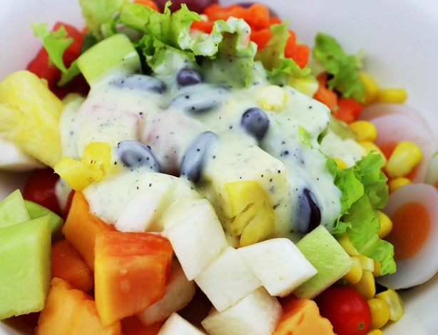 素食蛋白質來源 素食蛋白質來源