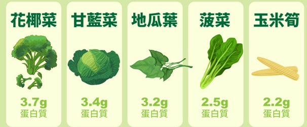高蛋白蔬菜有哪些？健身與素食者必知的10種高蛋白蔬菜排行榜
