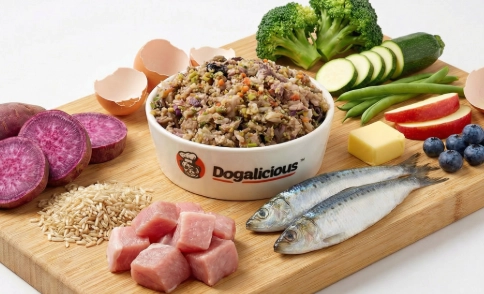 狗狗腎臟病鮮食製作全攻略：低磷食譜與營養照護指南