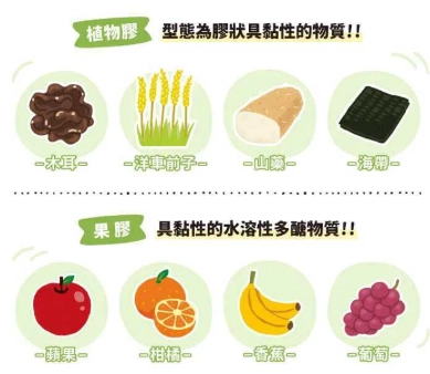 膳食纖維與粗纖維差異全解析：健康飲食必懂的關鍵知識