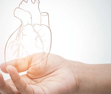 狗腎臟病藥物 狗腎臟病藥物