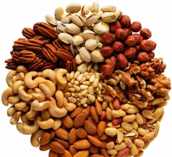 植物性蛋白質 植物性蛋白質