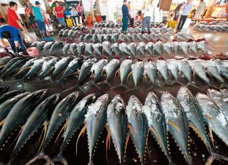 台灣海鮮選購 台灣海鮮選購