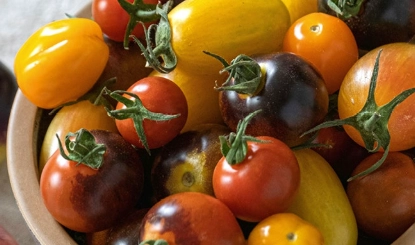 車厘茄壞處有哪些？營養師揭開過量食用的3大健康風險與正確吃法