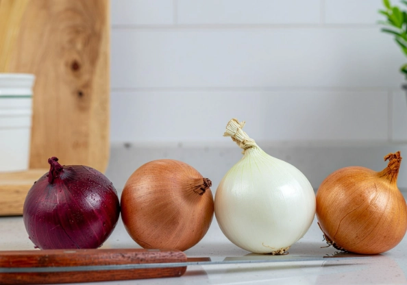 洋蔥料理 洋蔥料理