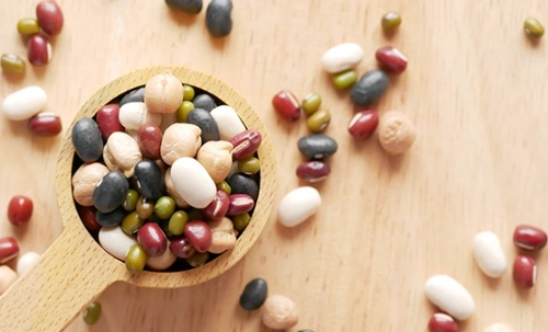 植物性蛋白質來源