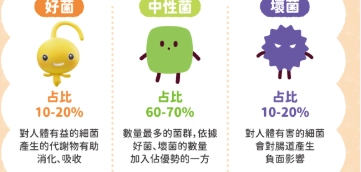 改善腸道益生菌