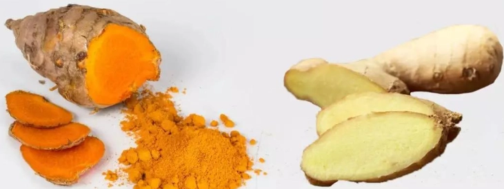 薑黃功效 薑黃功效