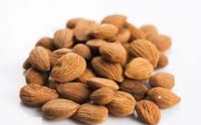 素食蛋白質來源 素食蛋白質來源