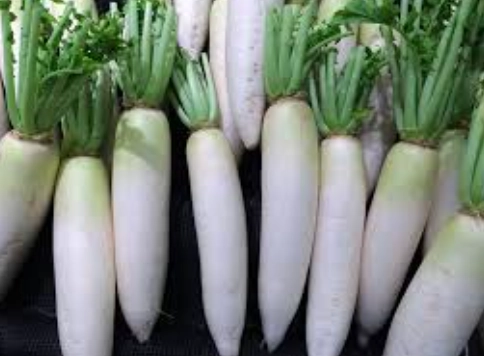 白蘿蔔缺點全解析：脹氣、禁忌與烹飪地雷一次看