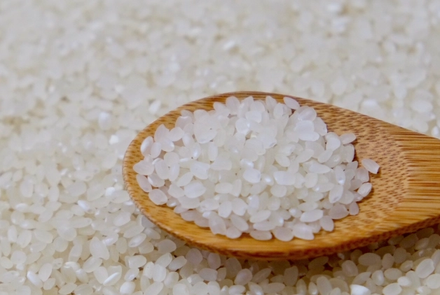 糙米胚芽米推薦