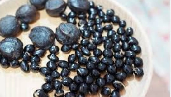 黑豆桂圓茶功效全解析：養生秘訣與實用指南