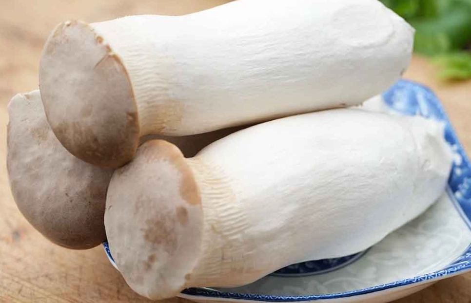 金沙杏鮑菇 食譜