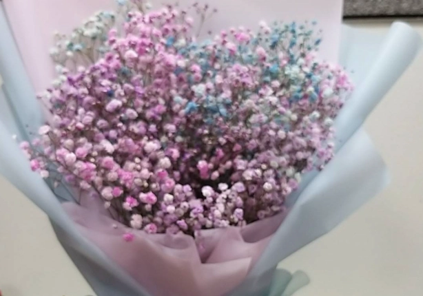 滿天星花語愛情