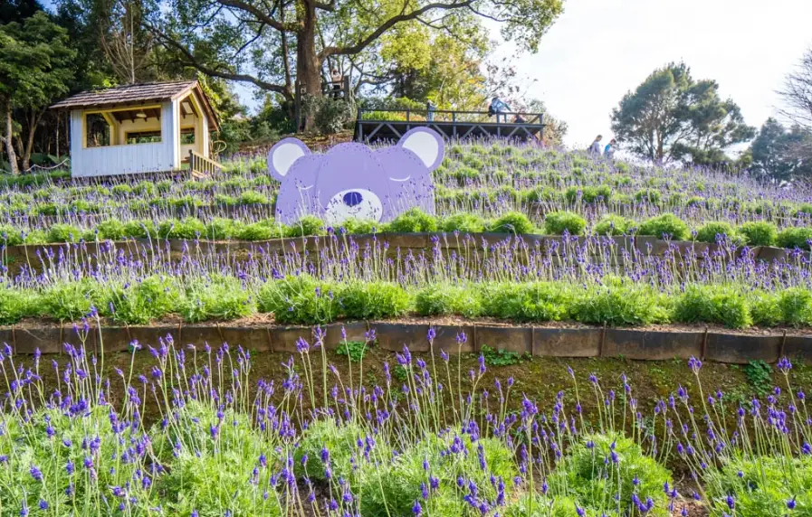 情人節餐廳 台中 情人節餐廳 台中
