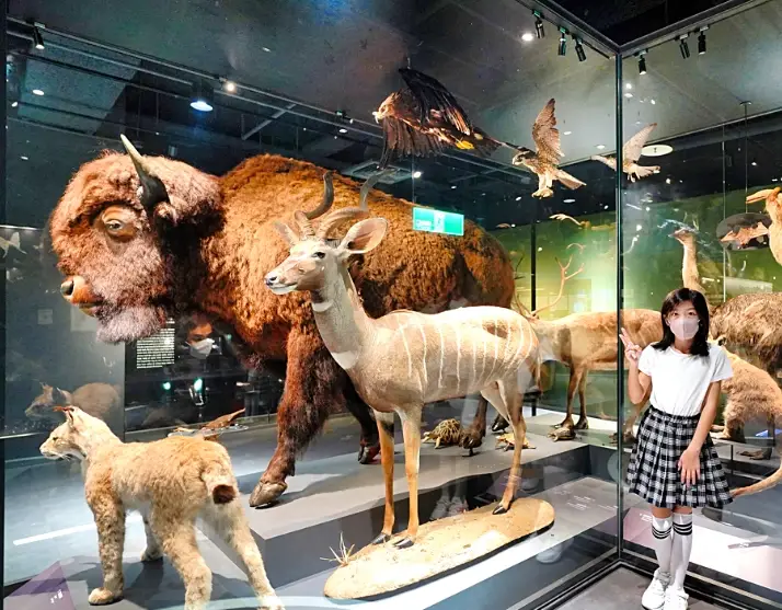 親子室內遊樂場