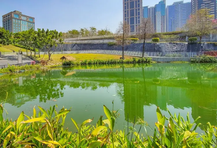 情人節餐廳 台中 情人節餐廳 台中
