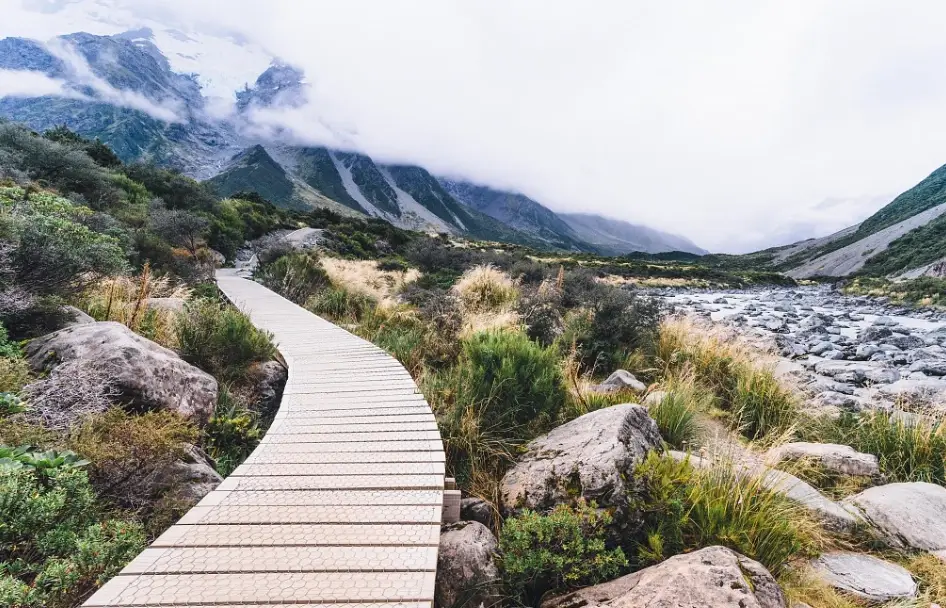 紐西蘭租車推薦