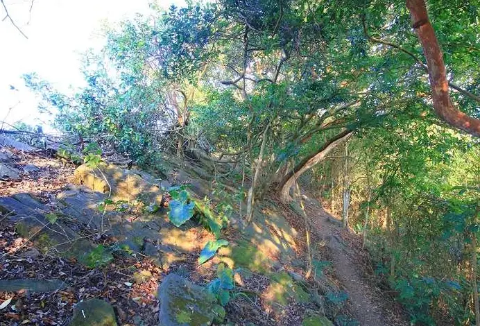 台南登山步道