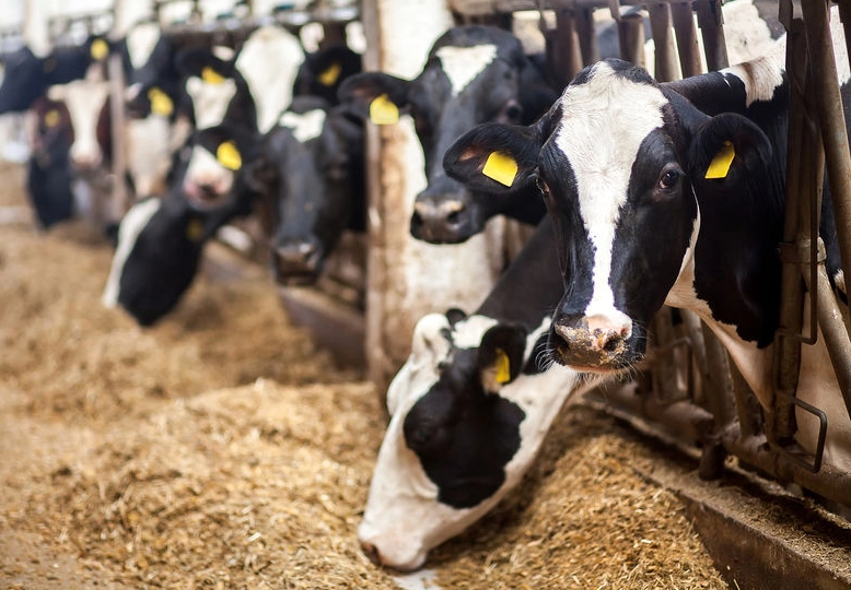 屏東親子一日遊