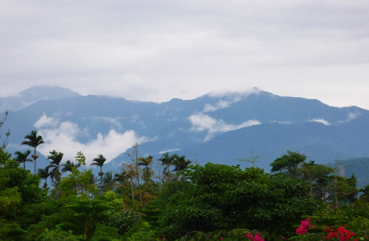 台東大眾運輸旅遊