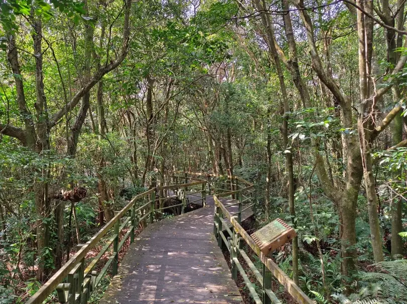 大崙頭尾山親山步道