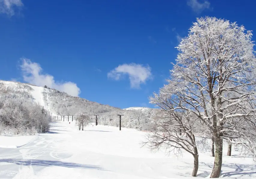 長野 雪季 尾聲