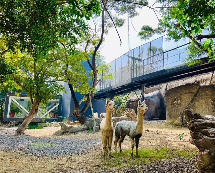 台南高雄親子行程