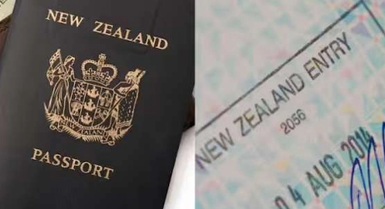 紐西蘭海關規定 紐西蘭海關規定