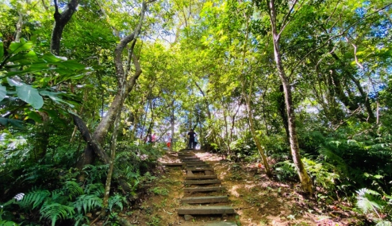 溪頭兩天一夜住宿