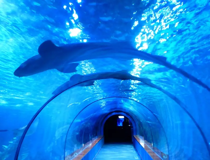 奧克蘭景點推薦