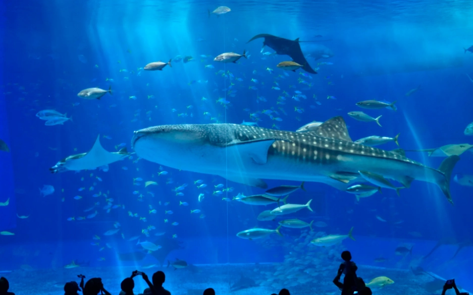 沖繩旅遊景點 沖繩旅遊景點