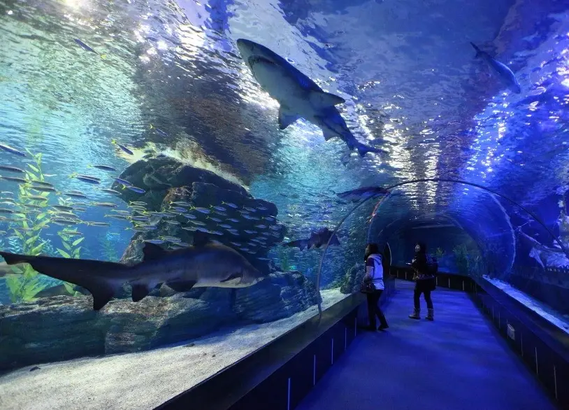 釜山親子自由行