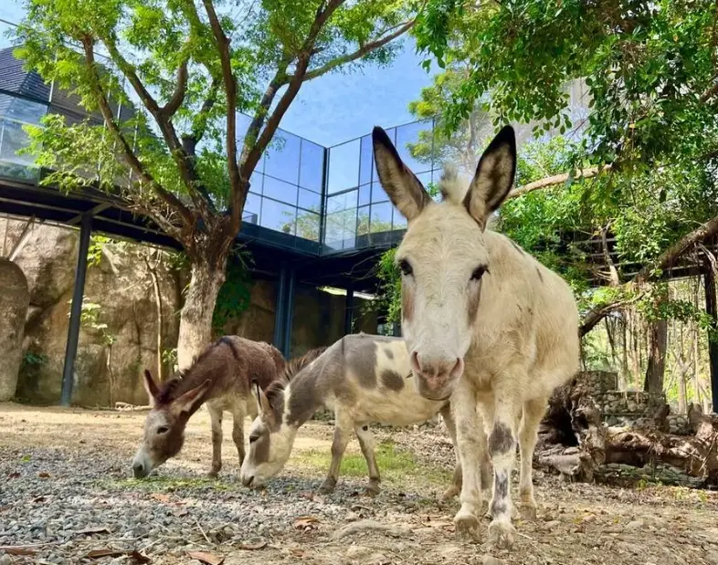 高雄親子景點推薦