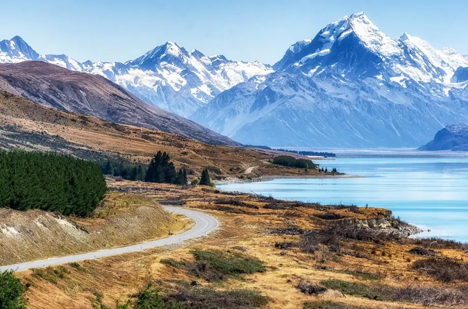 紐西蘭入境攜帶物品 紐西蘭入境攜帶物品