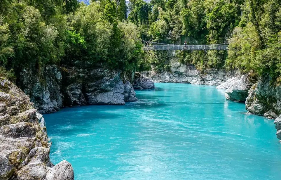 紐西蘭海關規定 紐西蘭海關規定