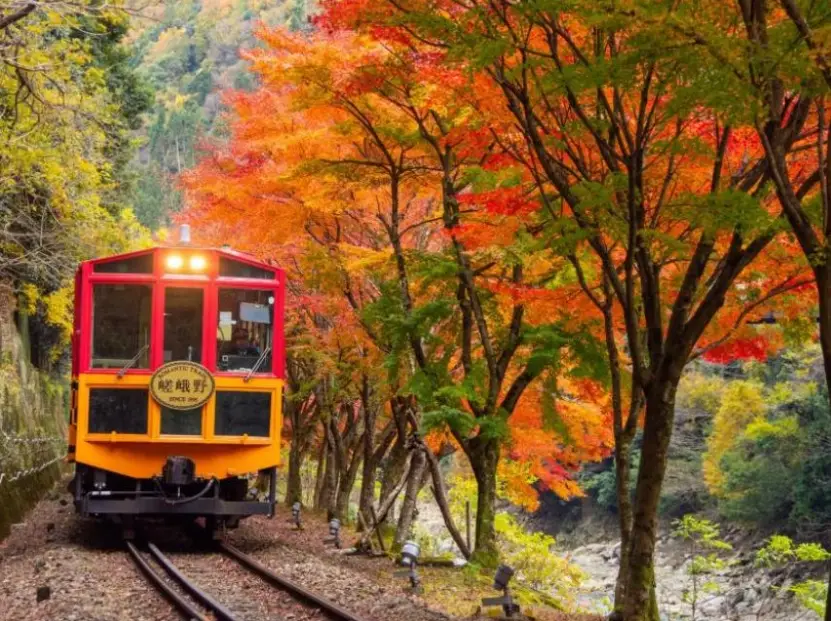 京都自由行 京都自由行