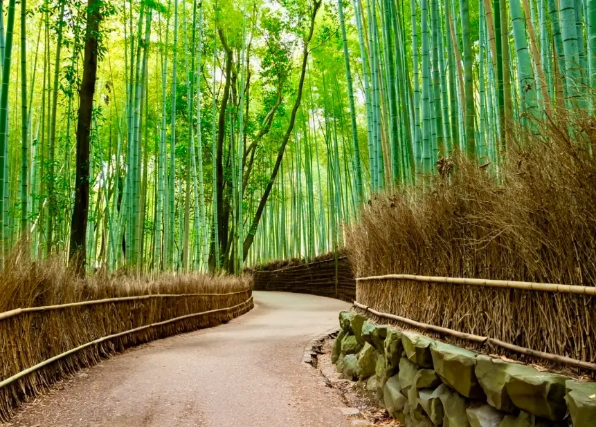 京都景點推薦 京都景點推薦