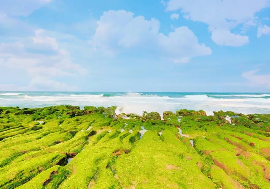 台北自駕遊 台北自駕遊