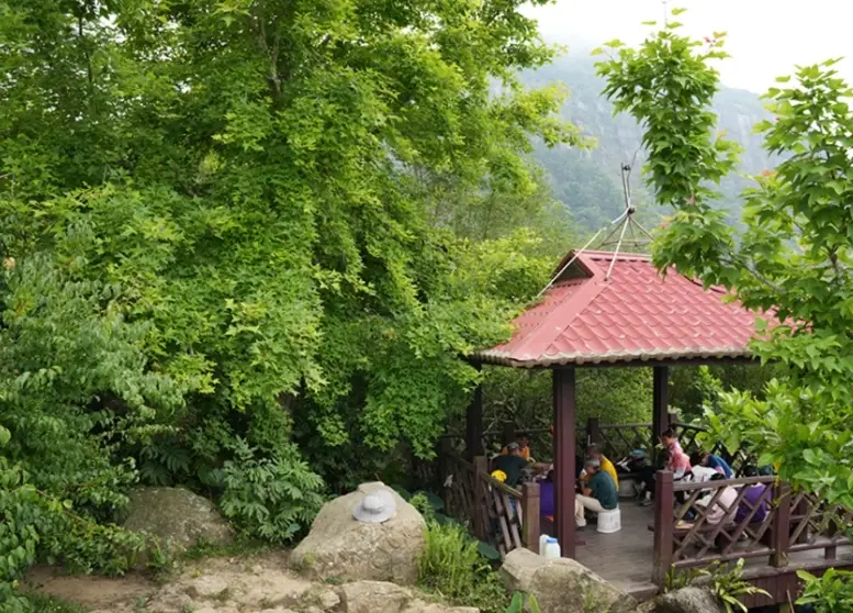 關子嶺雞籠山登山攻略：挑戰台南最獨特的火炎山步道