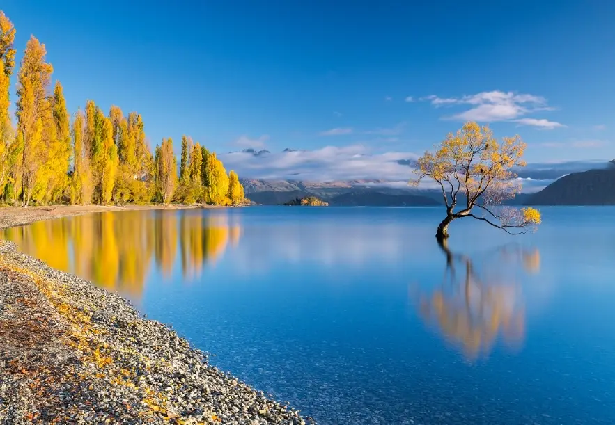 紐西蘭南島自駕