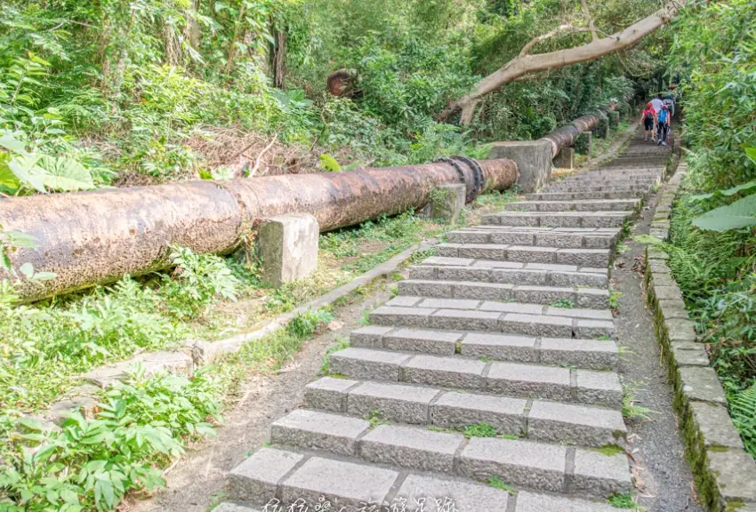 銀髮族步道推薦