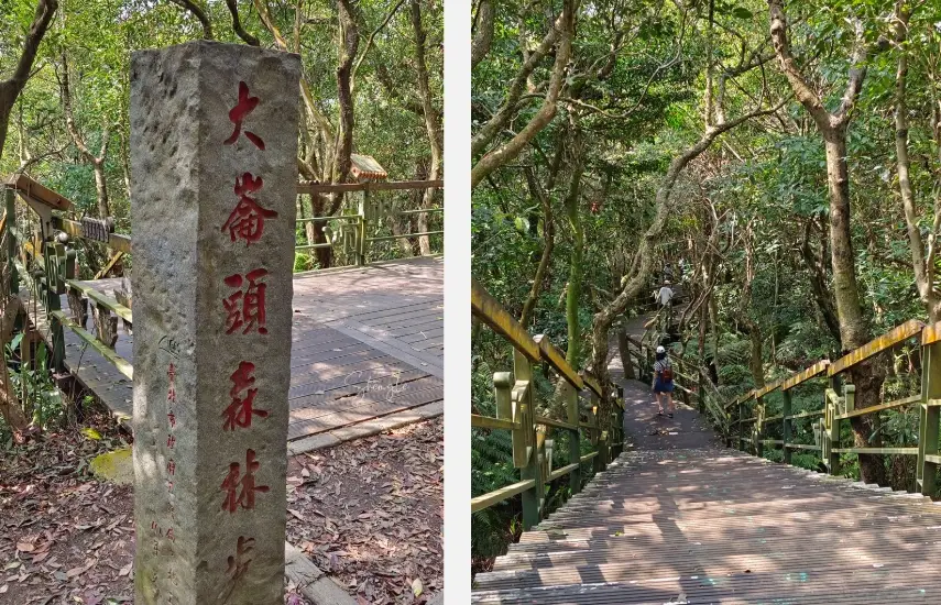 大崙頭尾山 交通