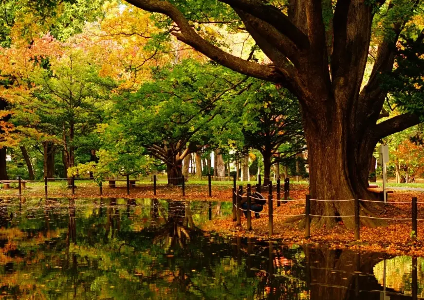 札幌秋天旅遊 札幌秋天旅遊