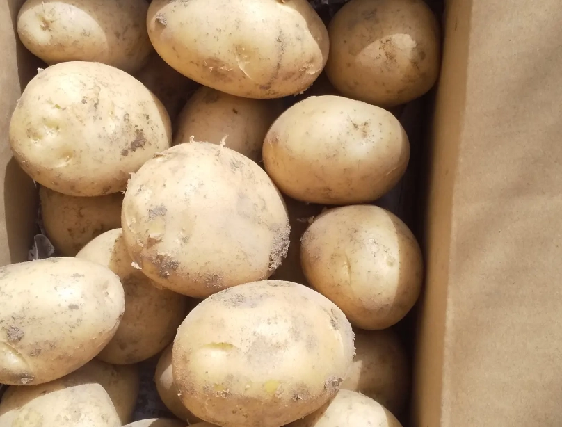 馬鈴薯清潔 馬鈴薯清潔