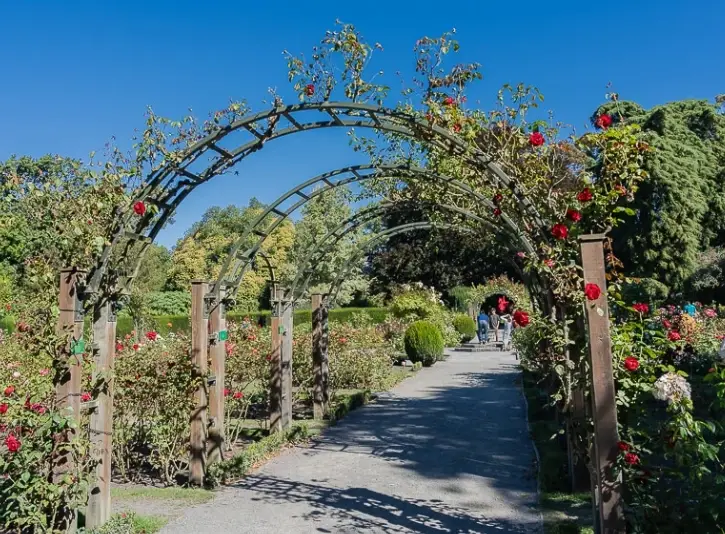 基督城自由行攻略：行程安排、必去景點與美食住宿推薦