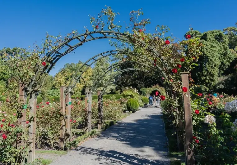 皇后镇旅游 皇后镇旅游