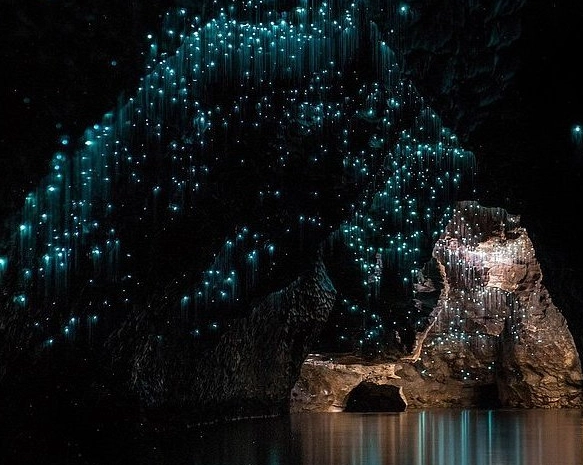 紐西蘭自由行攻略 紐西蘭自由行攻略