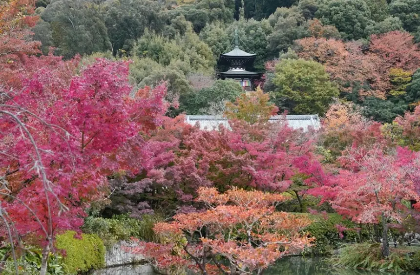 京都寺廟 京都寺廟